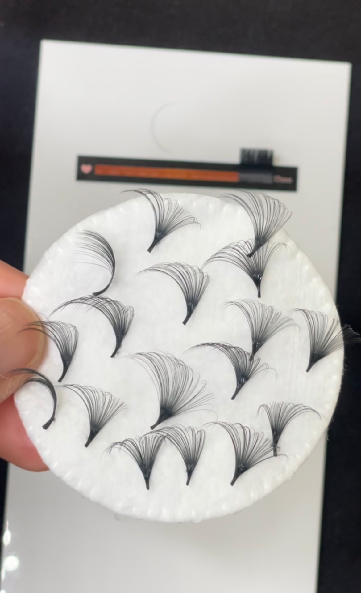 0.05 Velvet Lash Trays